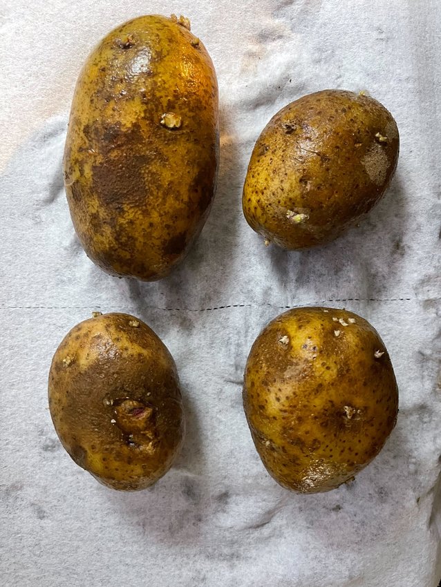 To make potato-stamped wrapping paper, you first need... some potatoes.